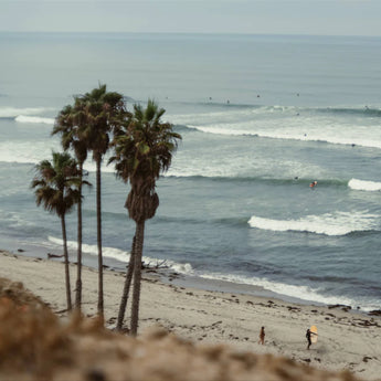 PolarPro LightLeak Lens 28mm Canon RF Mount Nostalgic Disposable Camera Look - CEN