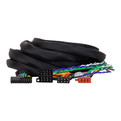 Phoenix Gold ZDC-ISO5 ISO-T Harness 20-pin Molex Connector