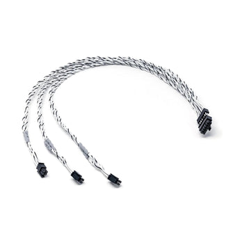 Audison AF Link Cable for Forza AF bit Outputs to Pre Inputs for AF M Amplifiers - CEN