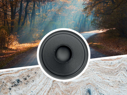 speaker forest background