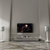 FiiO S15 Desktop Hi Res Audio Music Streamer 7.84 Inch Display Android 12 Silver - CEN