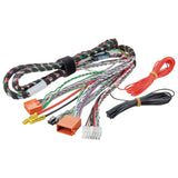 Focal Inside 2.1 IMP Harness for Impulse 4.320 4 Channel Amplifier & PSB200 Sub - CEN