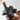 PGYTECH Mini Phone Holder Arca Swiss Mount, Cold Shoe Mount, 1/4 Inch Screw Hole - CEN