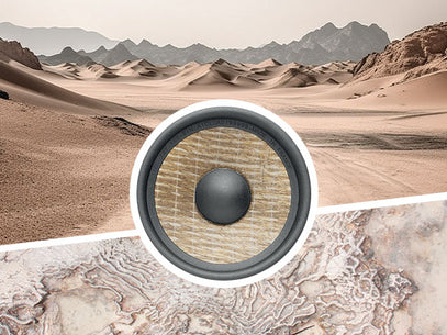focal speaker desert