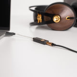 iFi Audio Go Link Ultra Portable Hi Res Music Headphone Dongle DAC USB C 3.5mm - CEN