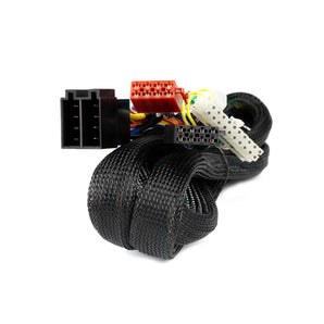 Match PP-ISO 1 Meter ISO Extension 20 Pole Molex for Plug & Play Amplifiers - CEN