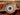 focal field background