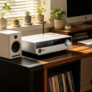 Shanling EH90 R2R Desktop DAC and Headphone Amplifier Silver